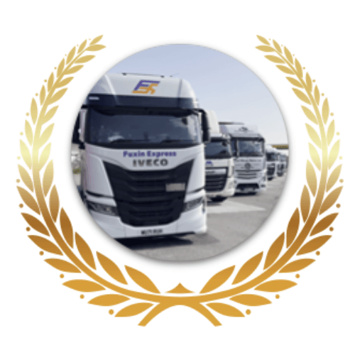 European Truck Fleet Licence